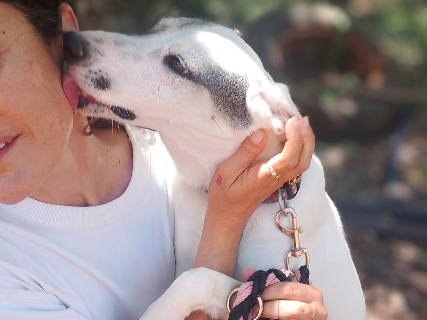 Adotta un cane, femmina, 2 anni e 1 mese, Lecce