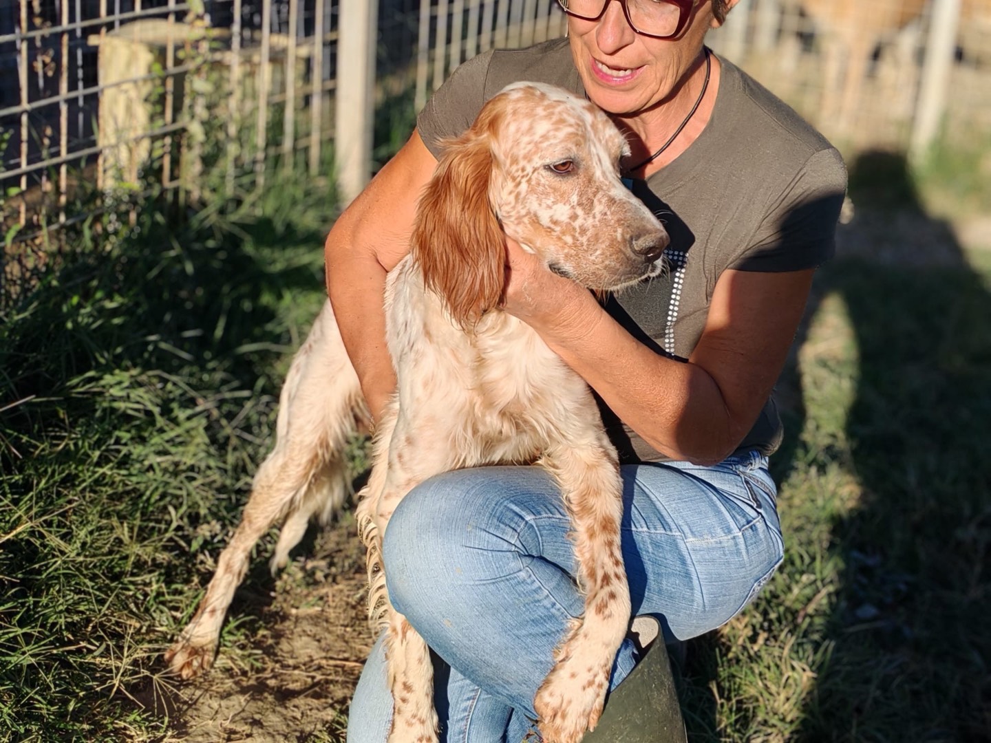 Adotta un cane, maschio, 2 anni, Cosenza