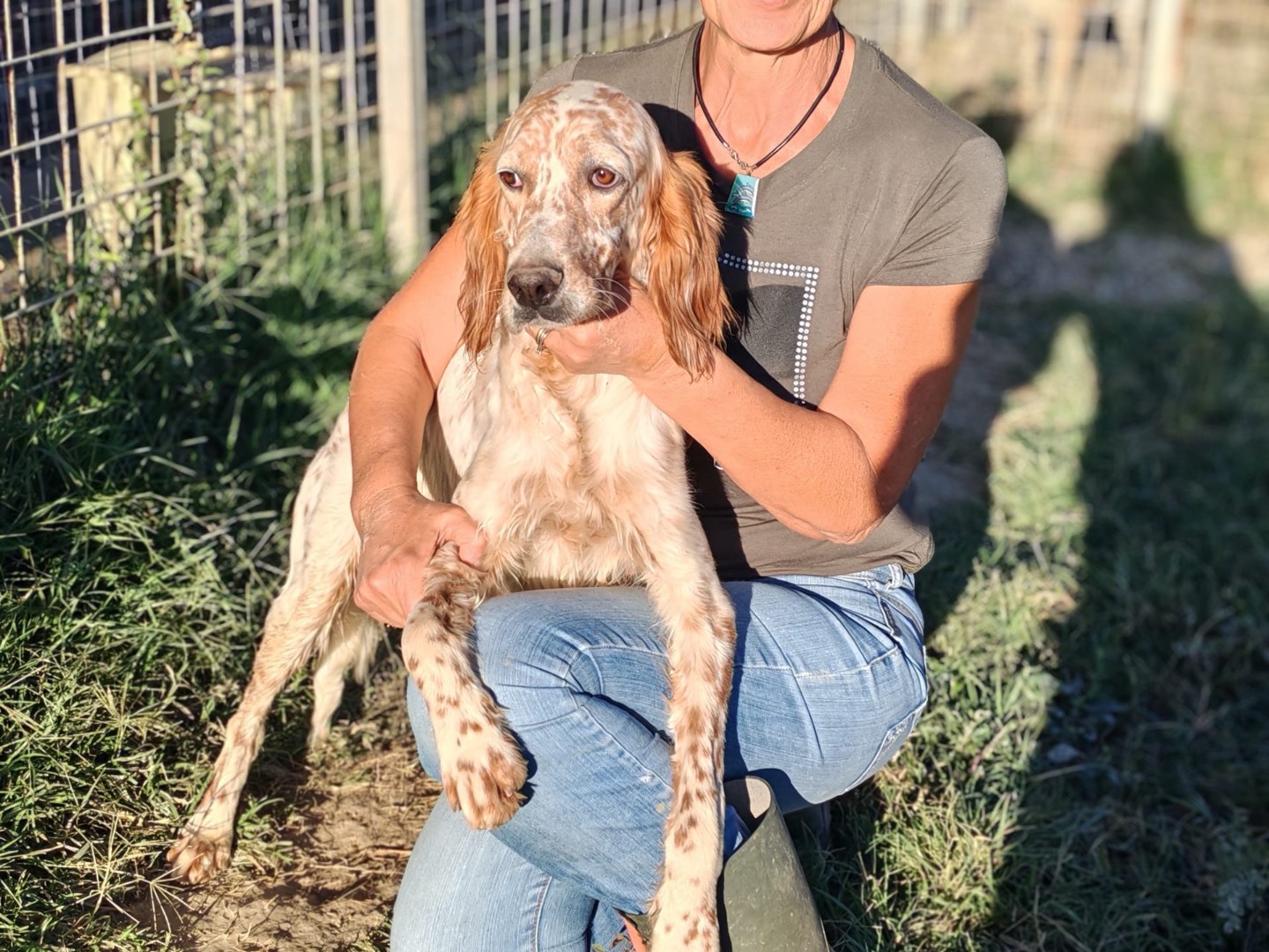 Vuoi adottare un cane a Cosenza?