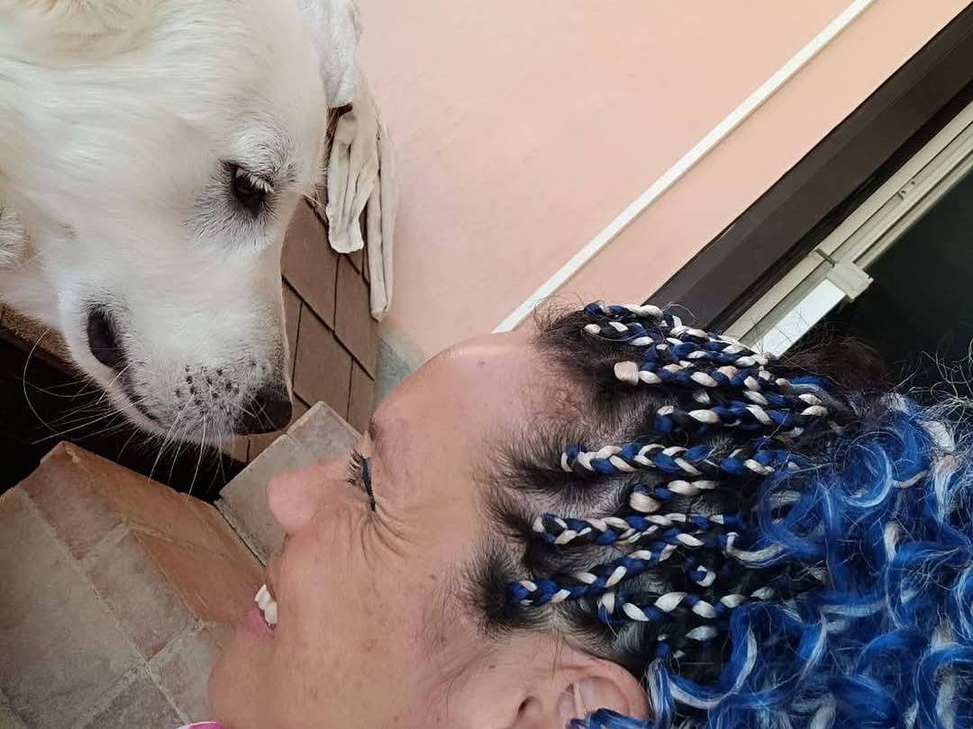 Adotta un cane, maschio, 1 anno e 9 mesi, Latina