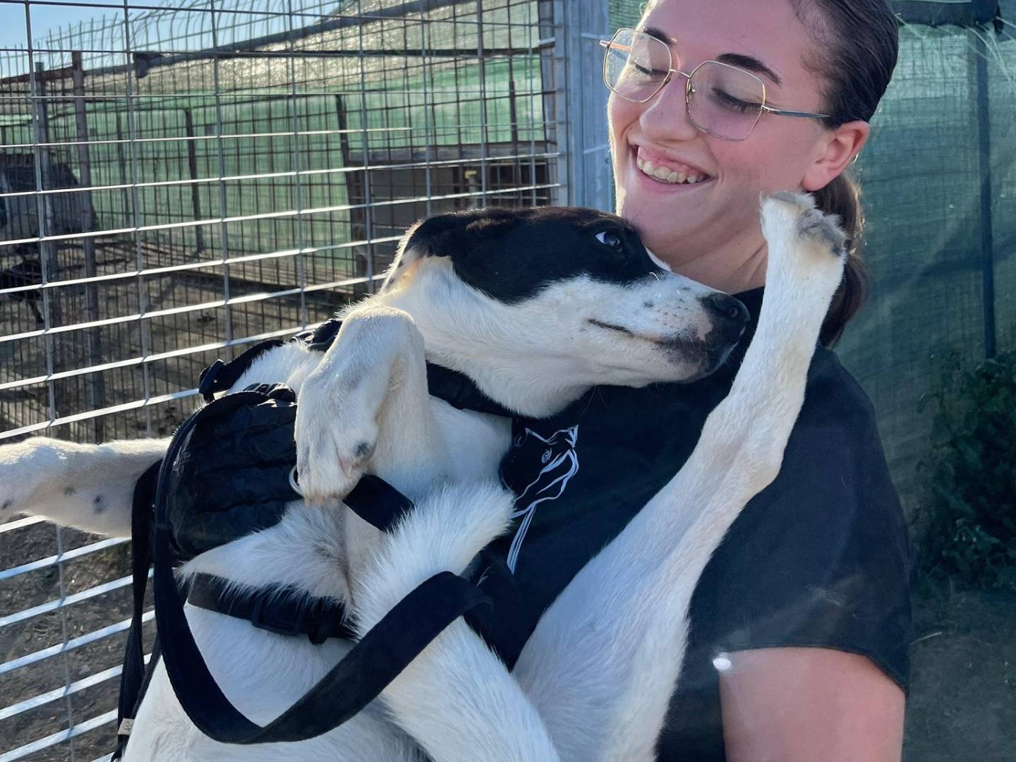 Adotta il cane Chloe a Barletta