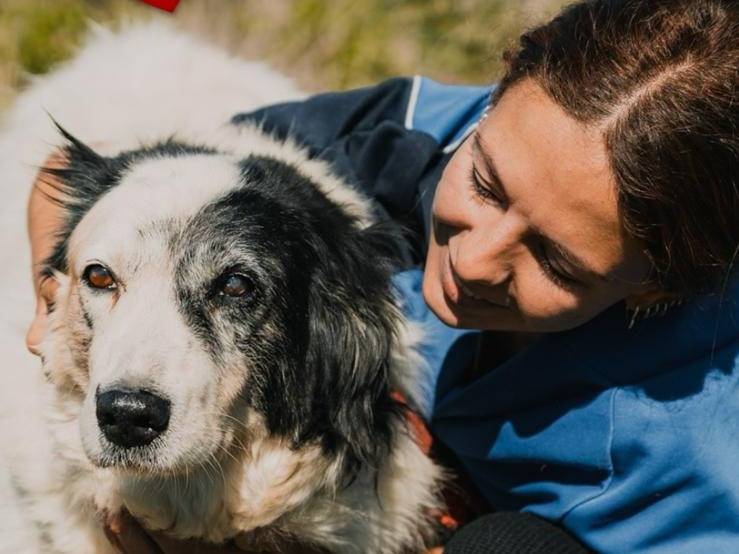 Adotta il cane Tyson a Caserta