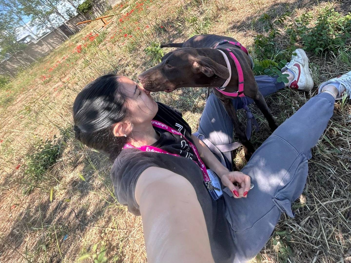 Vuoi adottare un cane a Caserta?