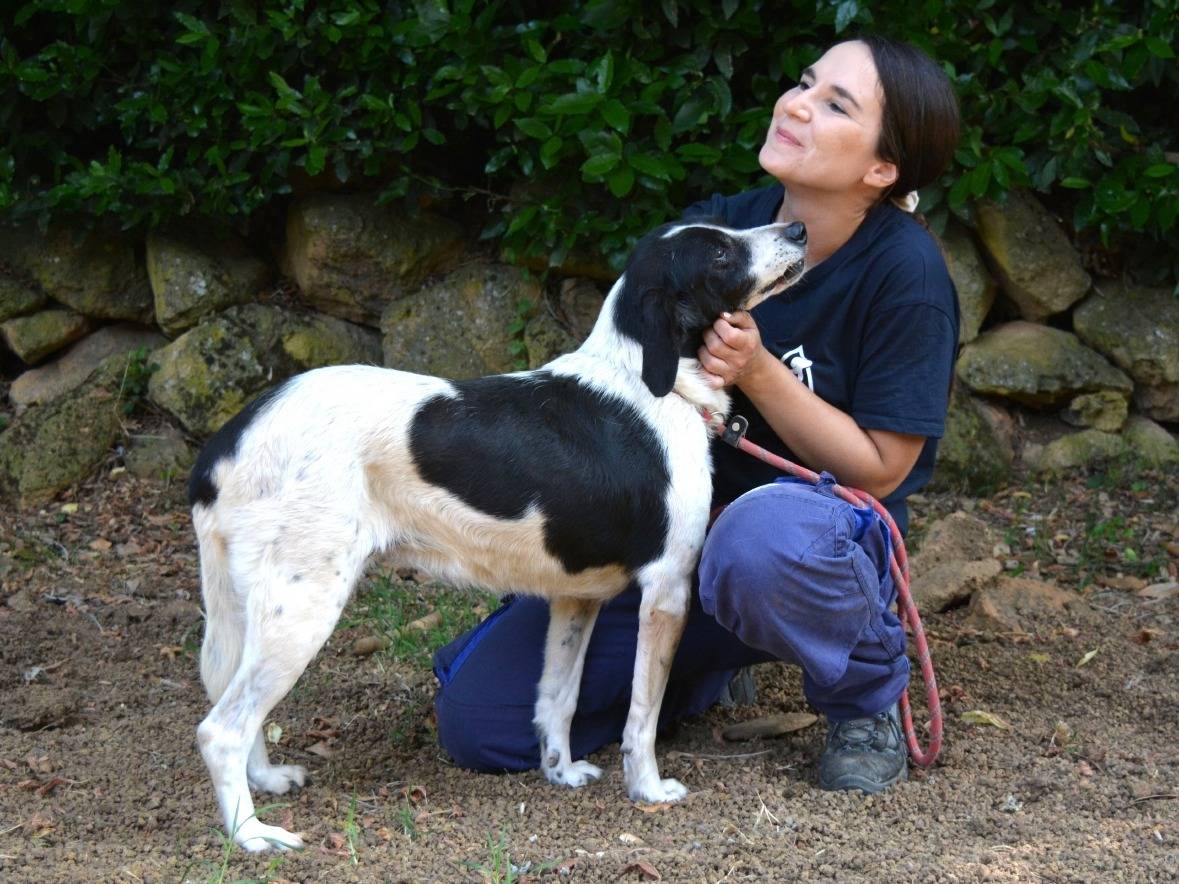 Vuoi adottare un cane a Roma?