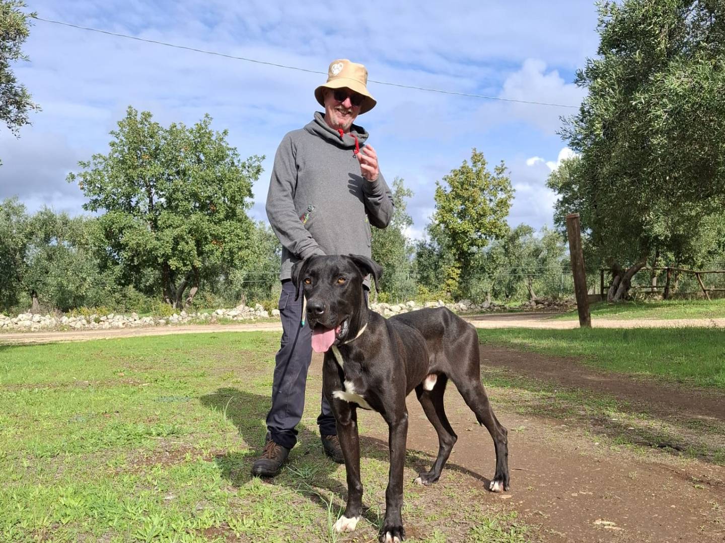 Vuoi adottare un cane a Piacenza?