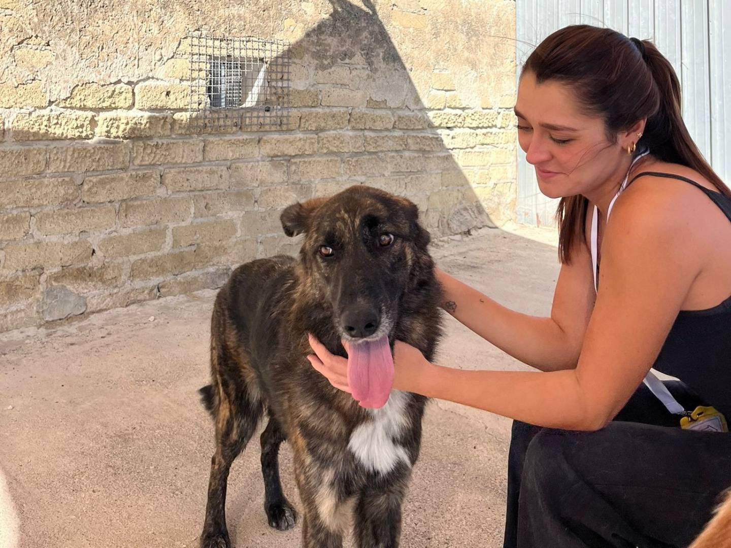 Adotta il cane Monica a Caserta
