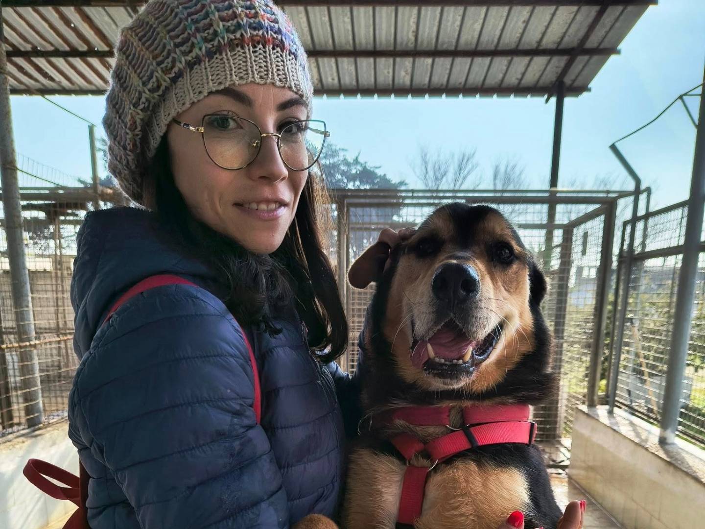 Vuoi adottare un cane a Caserta?