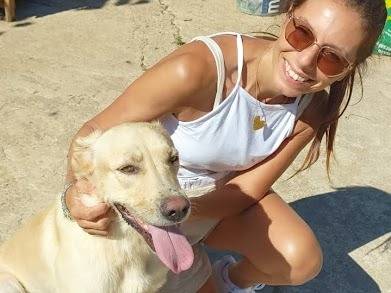 Adotta un cane, taglia media, maschio, Palermo