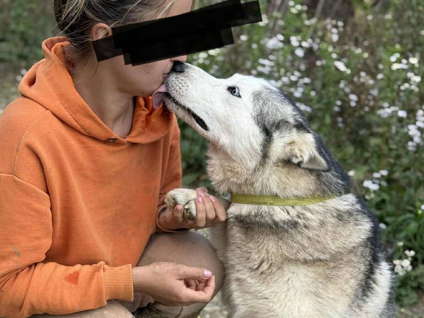 Adotta il cane CINDY a Firenze