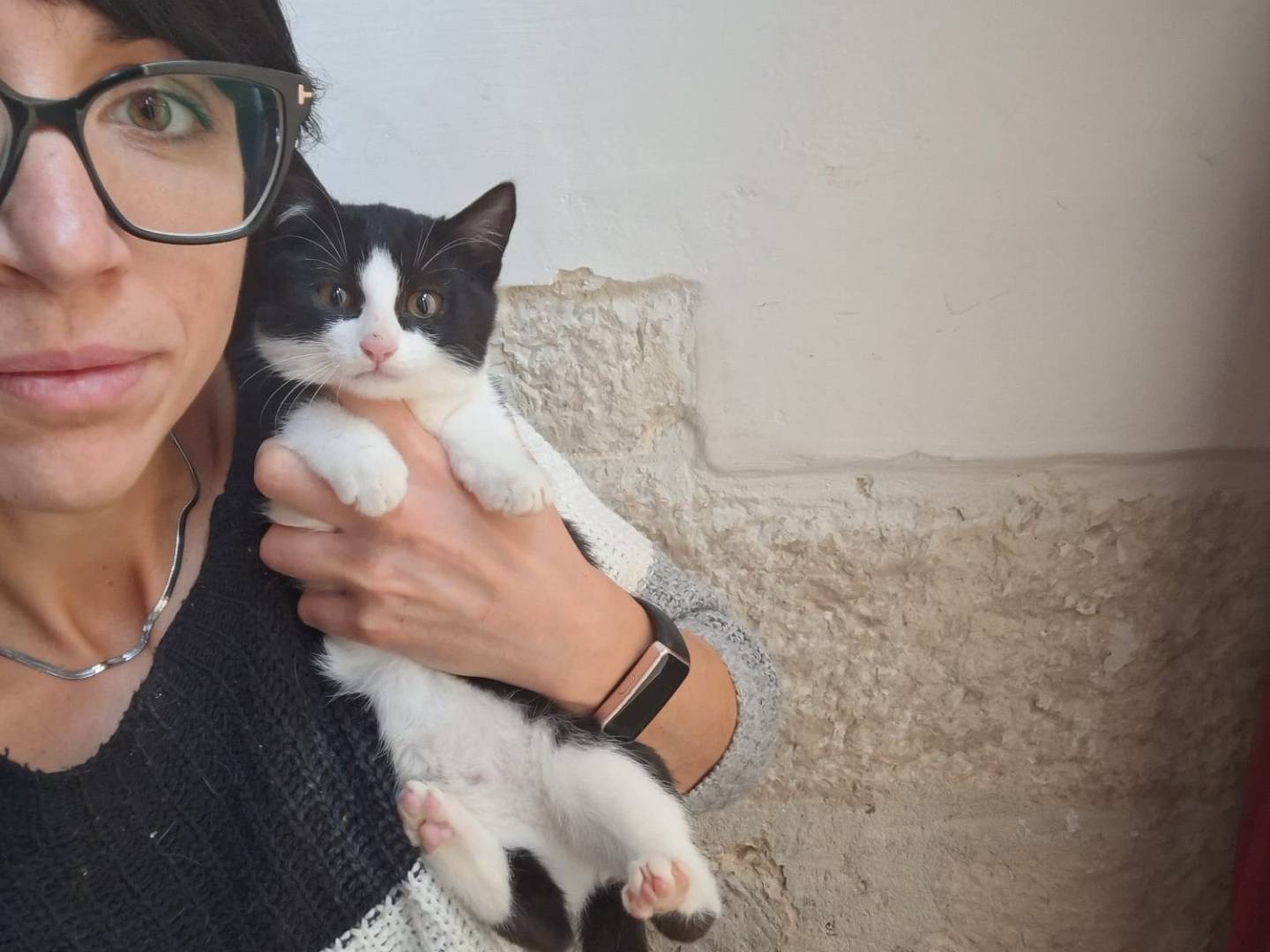 Adotta il gatto Crudelia De Mon senza crudeltà a Milano