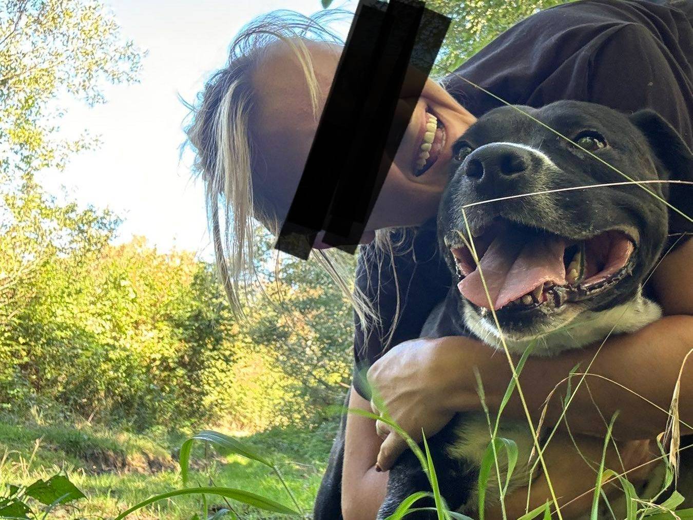 Vuoi adottare un cane a Firenze?