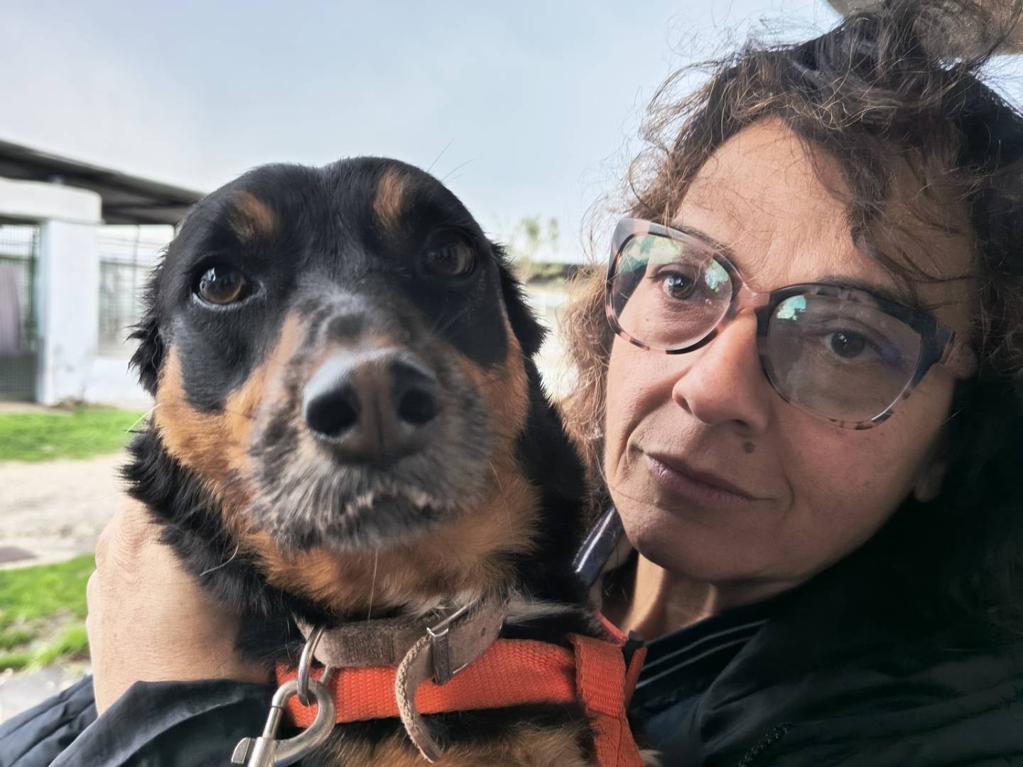 Vuoi adottare un cane a Caserta?