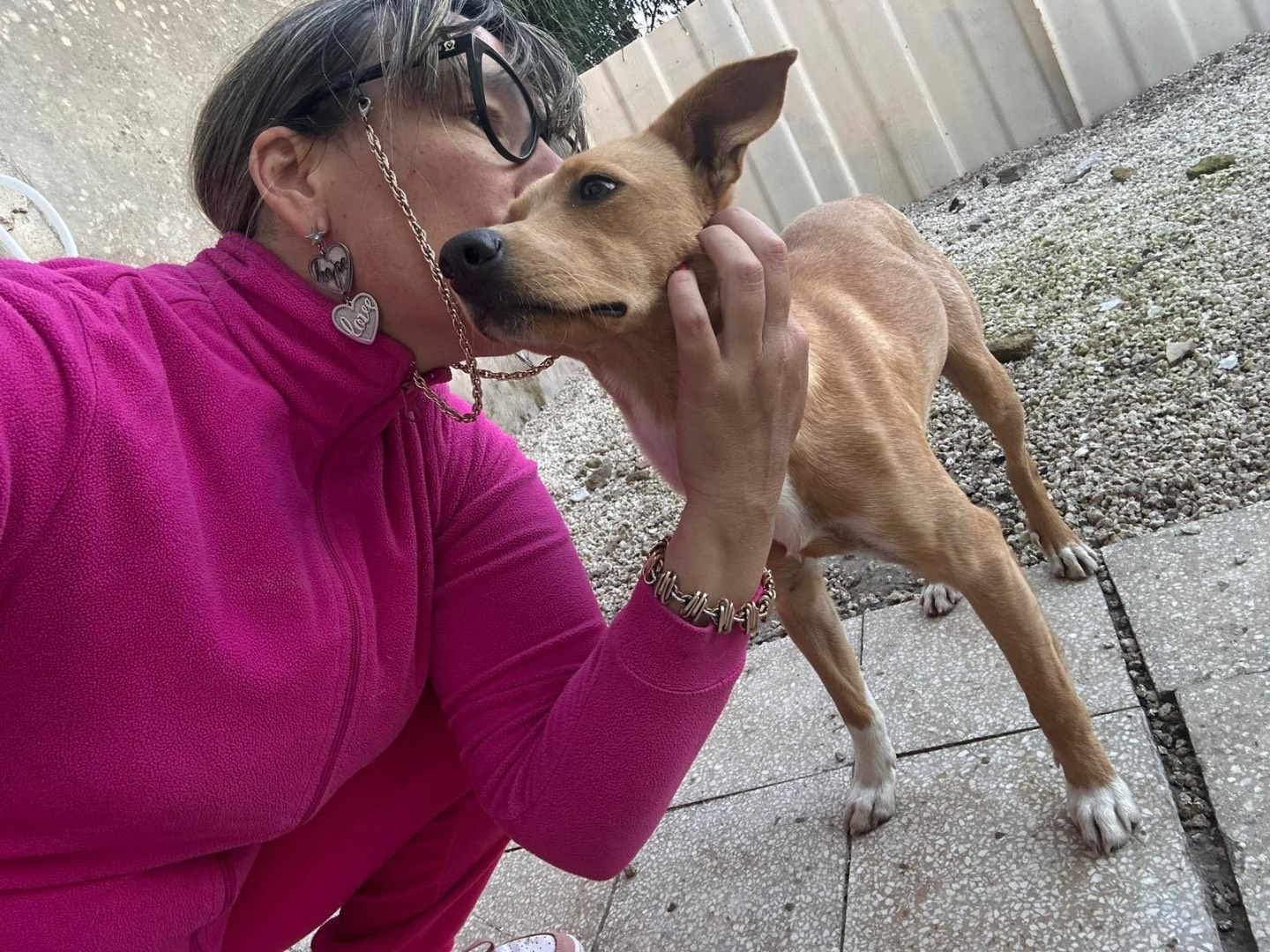 Adotta un cane, femmina, 10 anni e 9 mesi, Siracusa