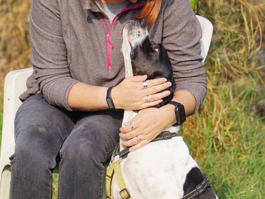 Vuoi adottare un cane a Milano?