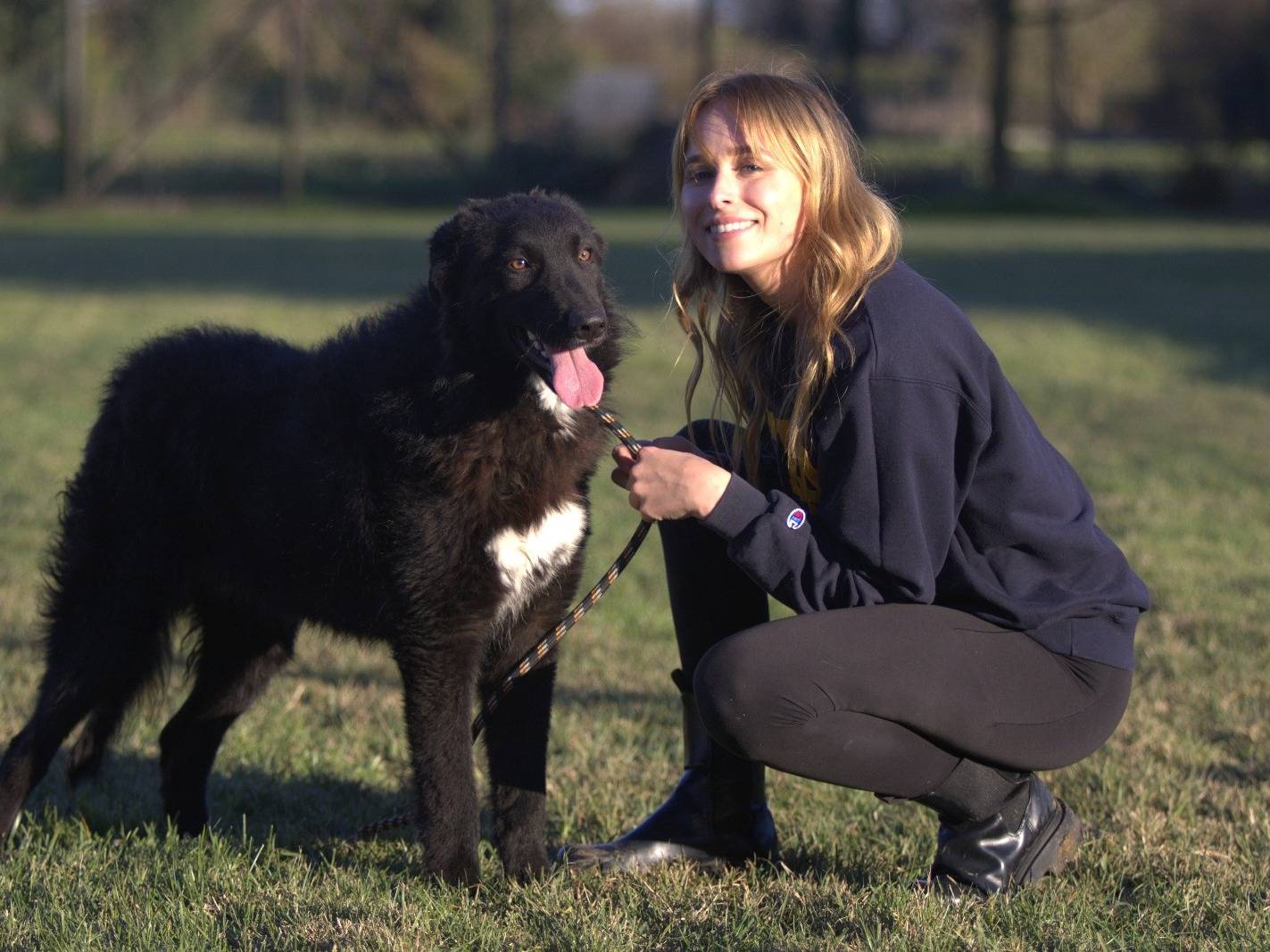 Adotta un cane, maschio, 9 mesi, Milano