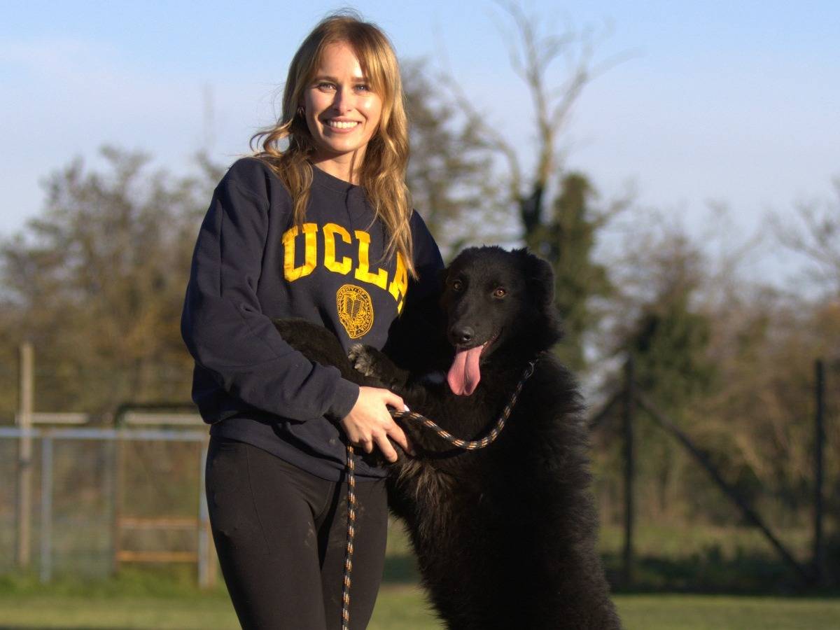 Vuoi adottare un cane a Milano?