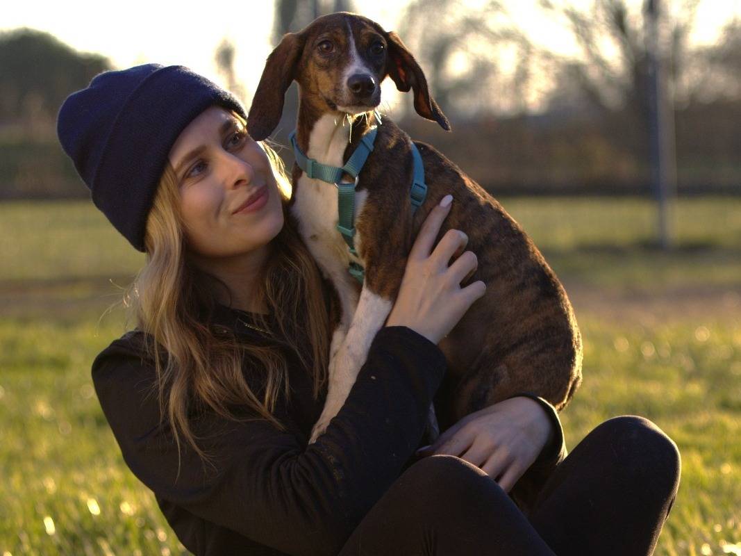 Adotta un cane, femmina, 6 mesi, Milano