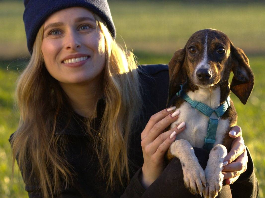 Adotta un cane, taglia media contenuta, femmina, Milano