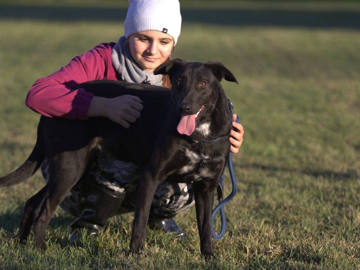 Vuoi adottare un cane a Milano?