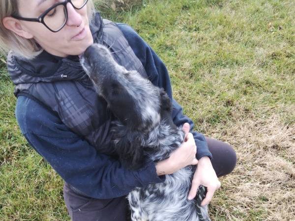 Vuoi adottare un cane a Cremona?