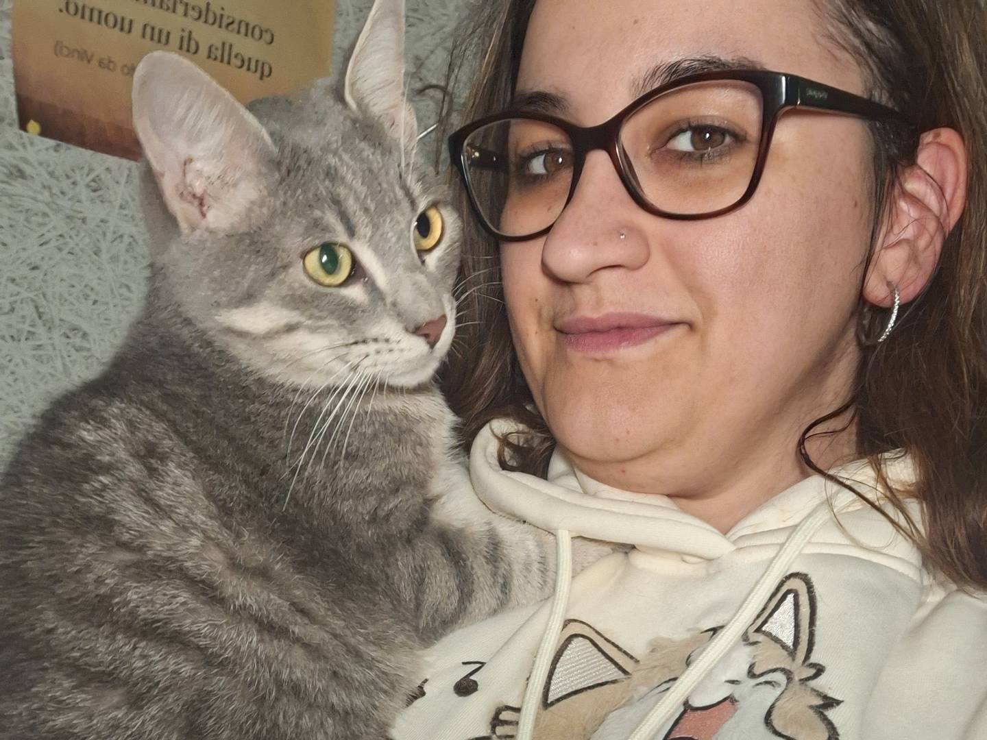 Vuoi adottare un gatto a Potenza?