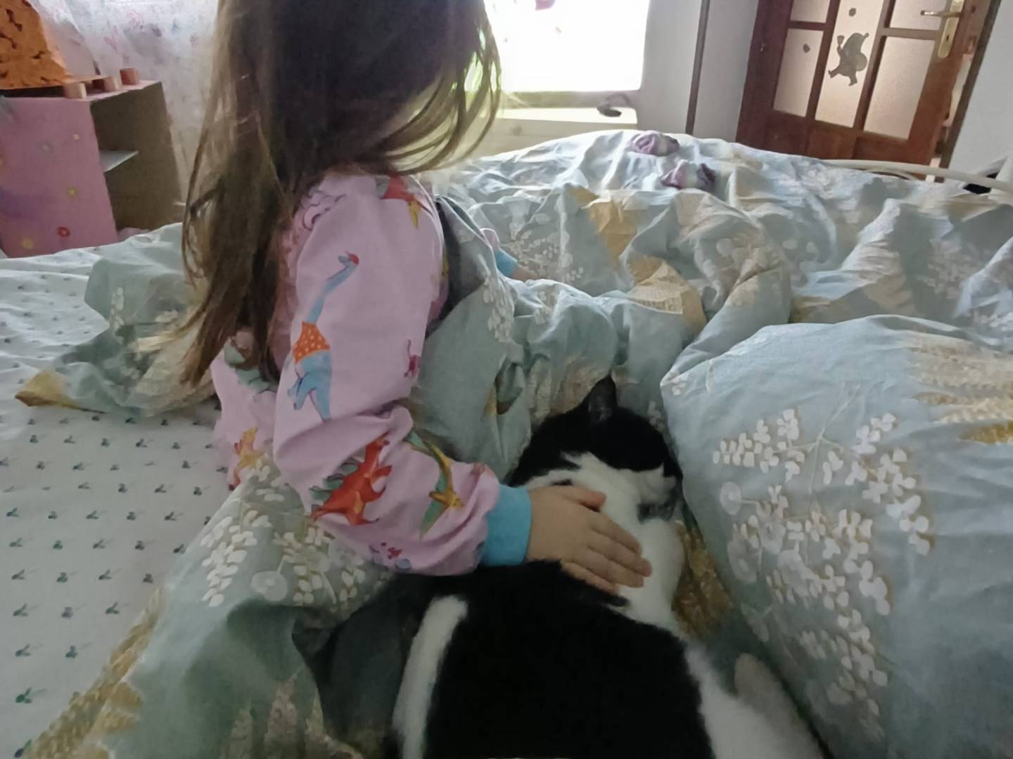 Vuoi adottare un gatto a Taranto?