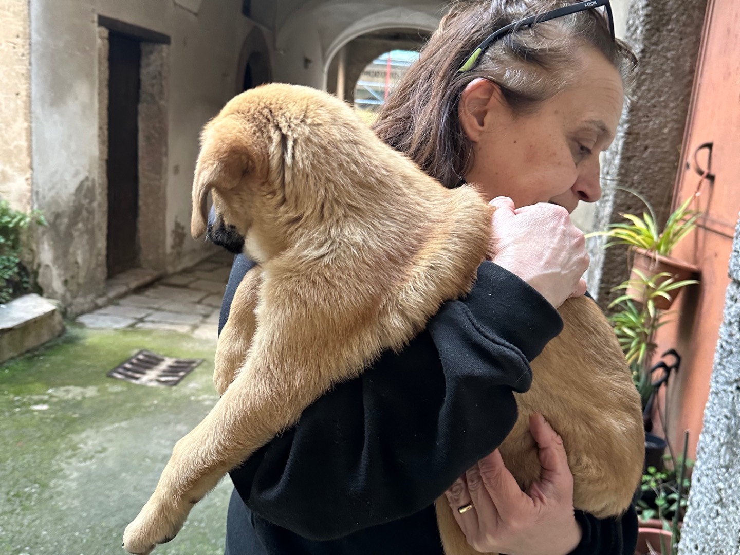 Adotta un cane, femmina, 3 mesi, Salerno