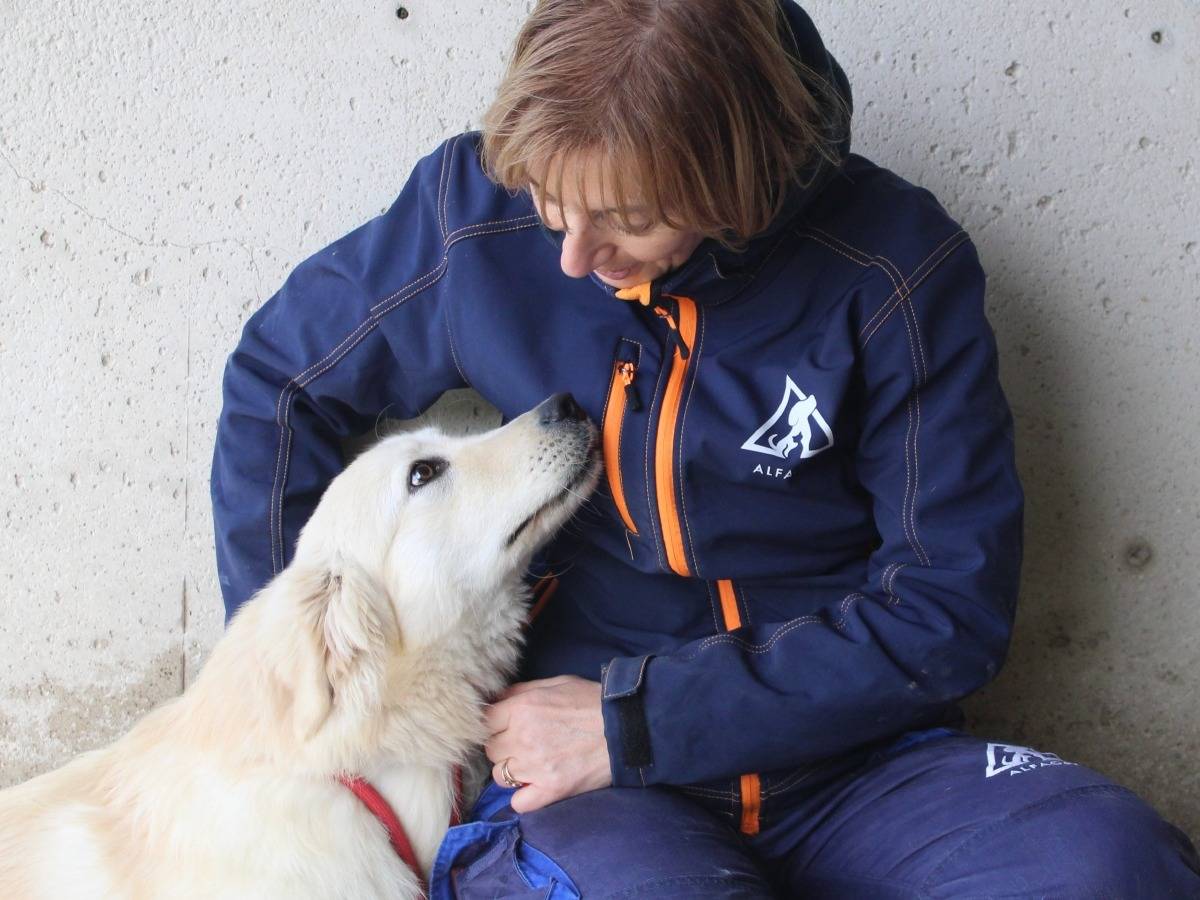 Adotta un cane, maschio, 7 mesi, Roma