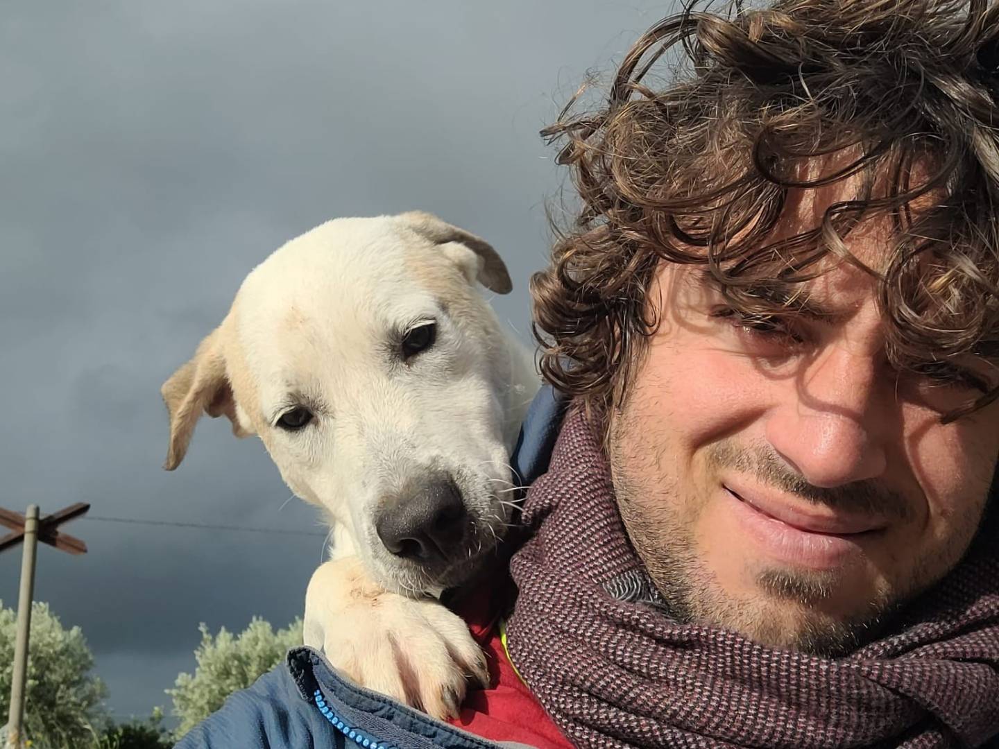 Adozione cane, maschio, Pastore maremmano Razza sconosciuta, 9 mesi, taglia grande, Siracusa