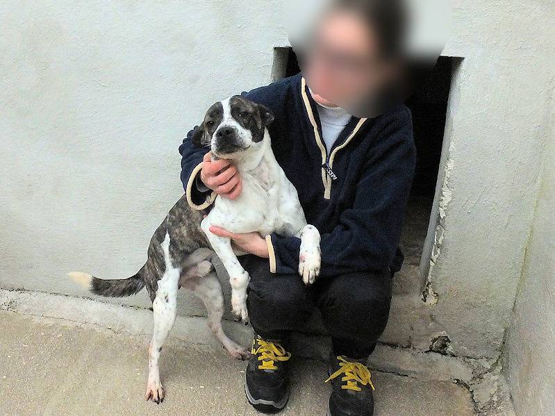 Vuoi adottare un cane a Frosinone?