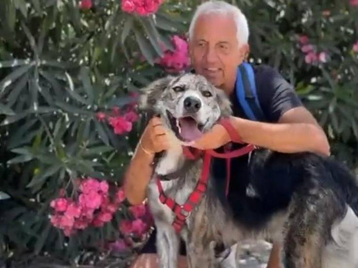 Vuoi adottare un cane a Caserta?