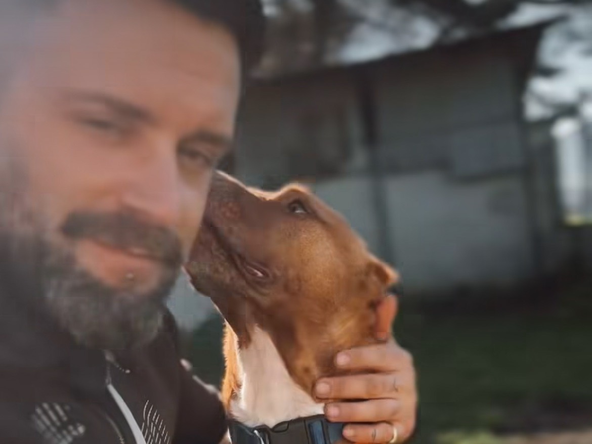 Adotta un cane, femmina, 6 anni e 4 mesi, Caserta