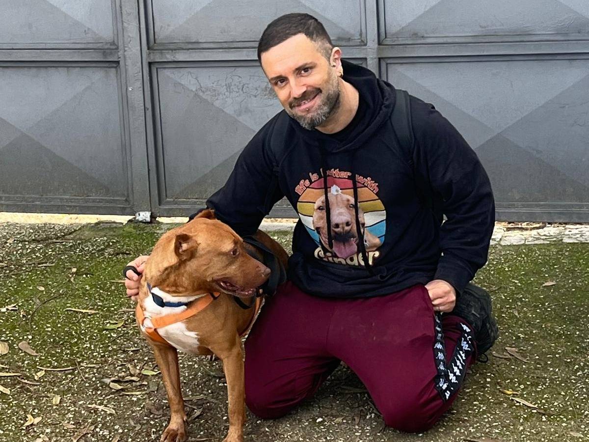 Adotta il cane GINGER a Caserta