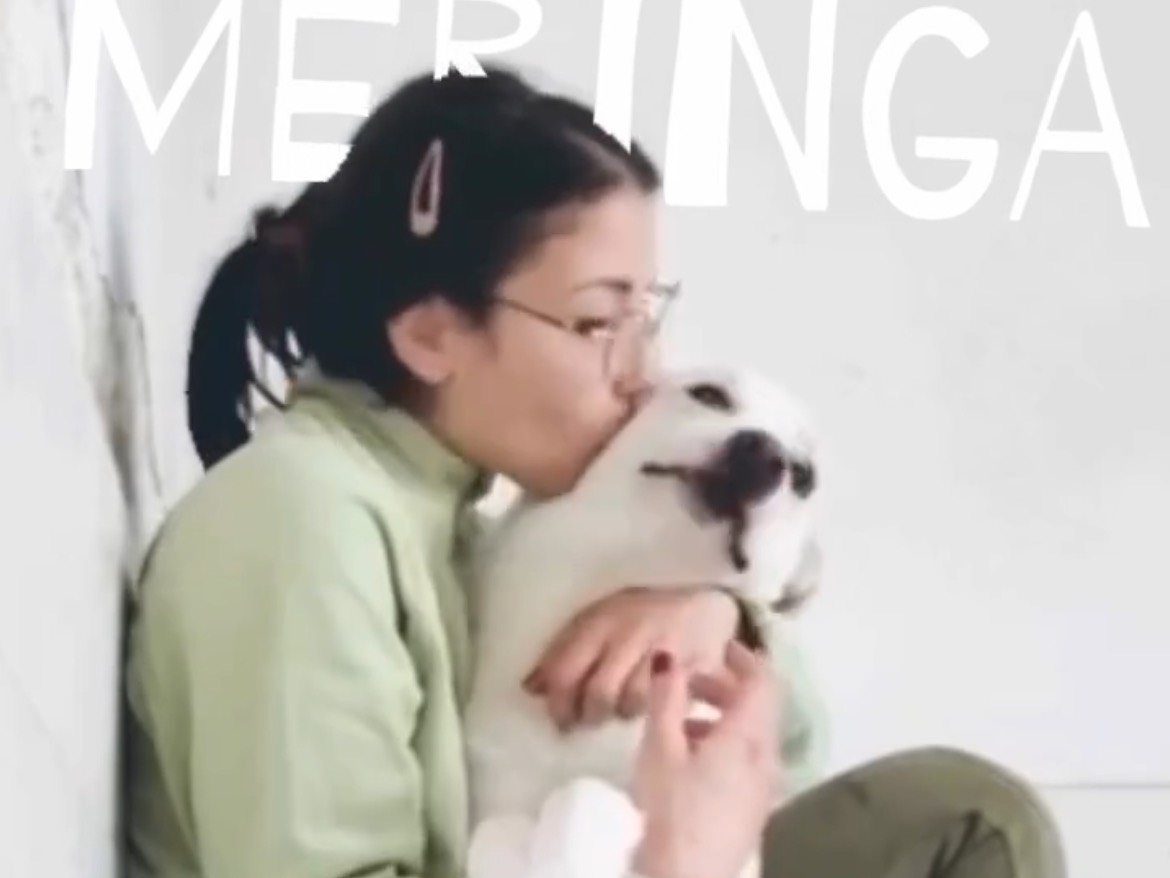 Vuoi adottare un cane a Caserta?