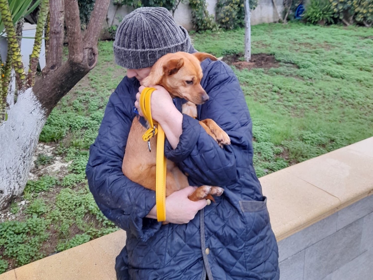 Adotta un cane, taglia piccola, femmina, Vibo