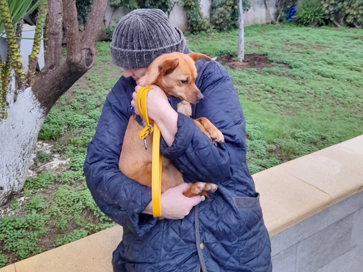 Vuoi adottare un cane a Vibo?