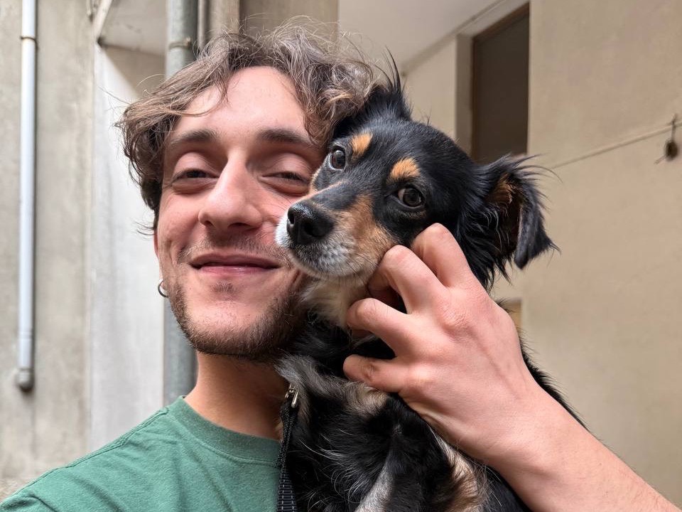 Adotta un cane, femmina, 2 anni e 1 mese, Salerno