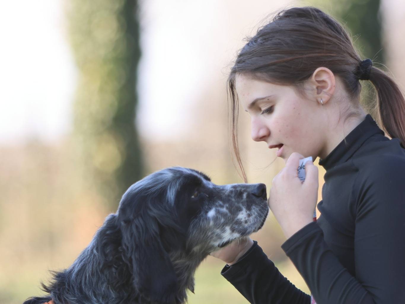 Adotta un cane, taglia media, maschio, Milano