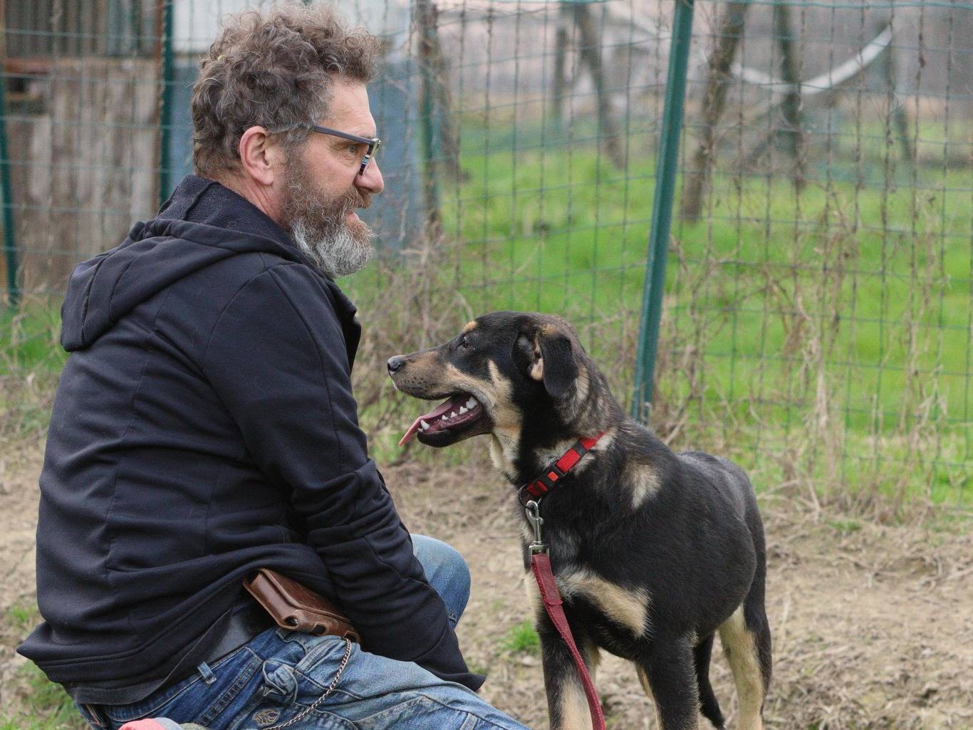 Adotta il cane MARVIN a Piacenza