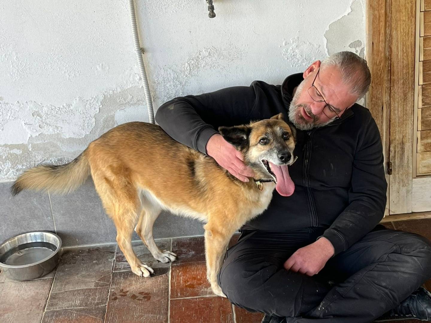 Adotta un cane, femmina, 9 anni e 11 mesi, Vibo