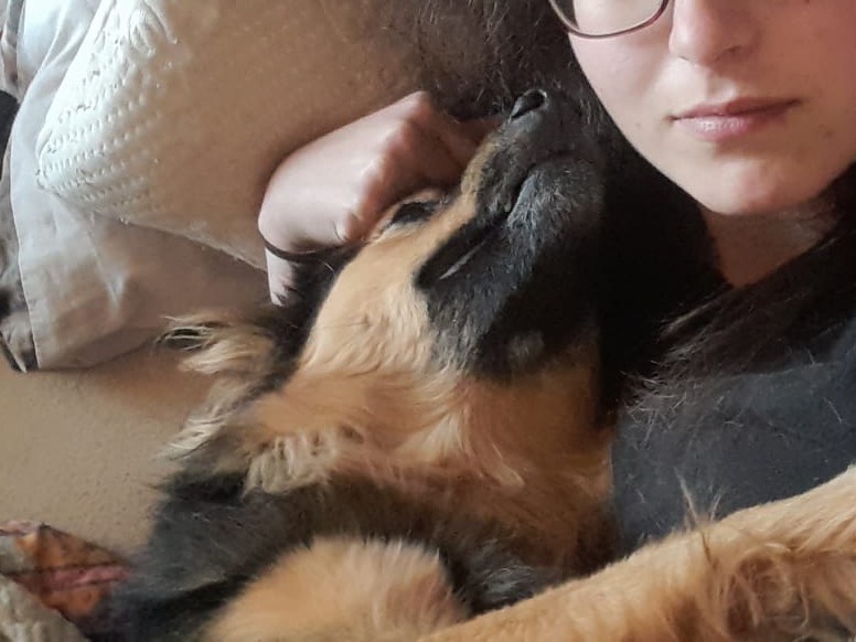 Adotta il cane Arturo a Trento