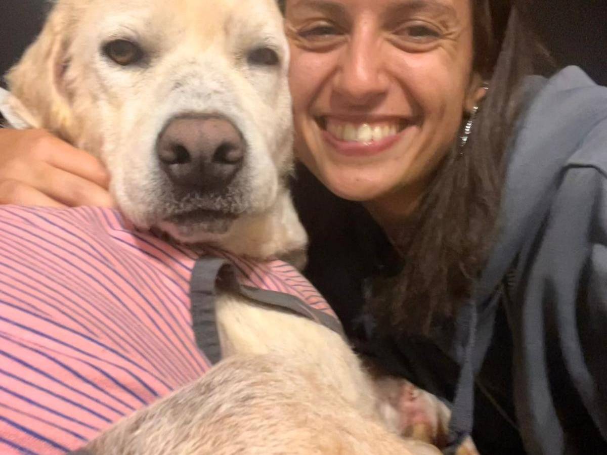 Vuoi adottare un cane a Bari?