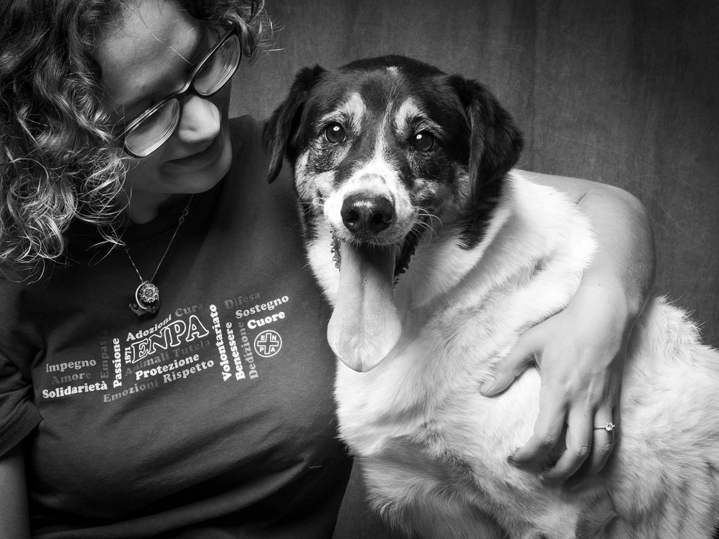 Adotta un cane, femmina, 9 anni, Torino