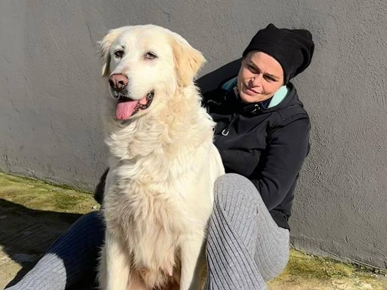 Adozione cane, femmina, Razza sconosciuta Razza sconosciuta, 2 anni, taglia grande, Napoli