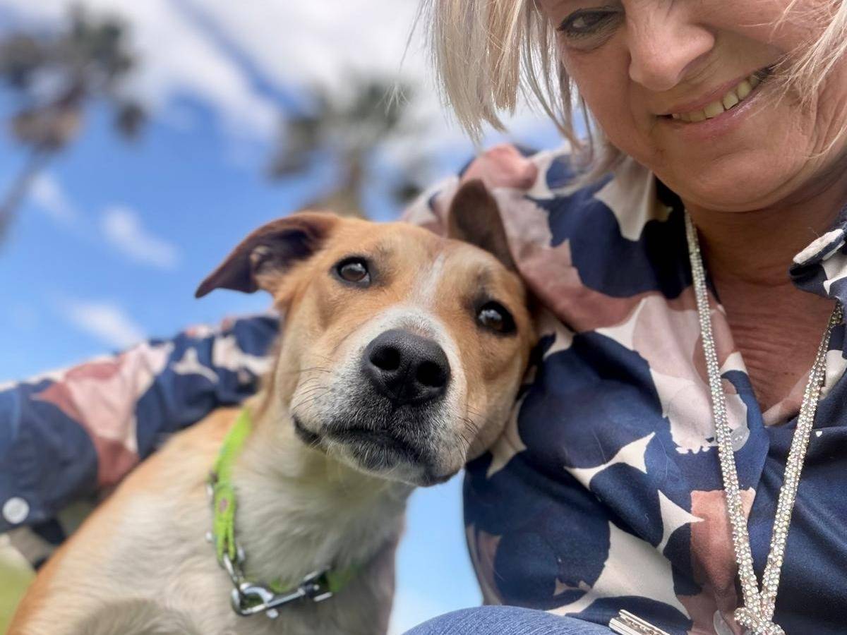 Adotta un cane, taglia media, femmina, Siracusa