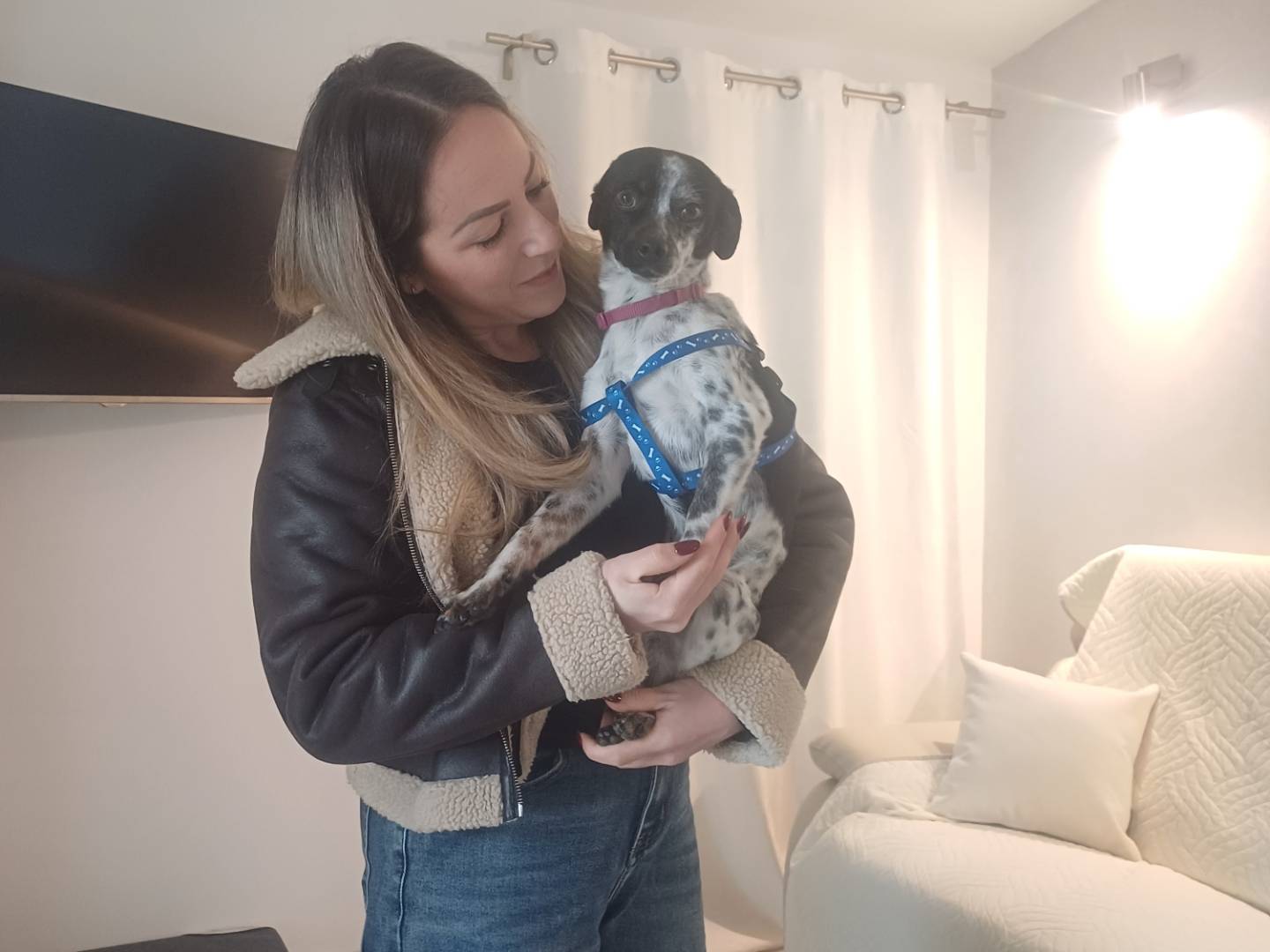 Adotta un cane, taglia piccola, maschio, Lucca