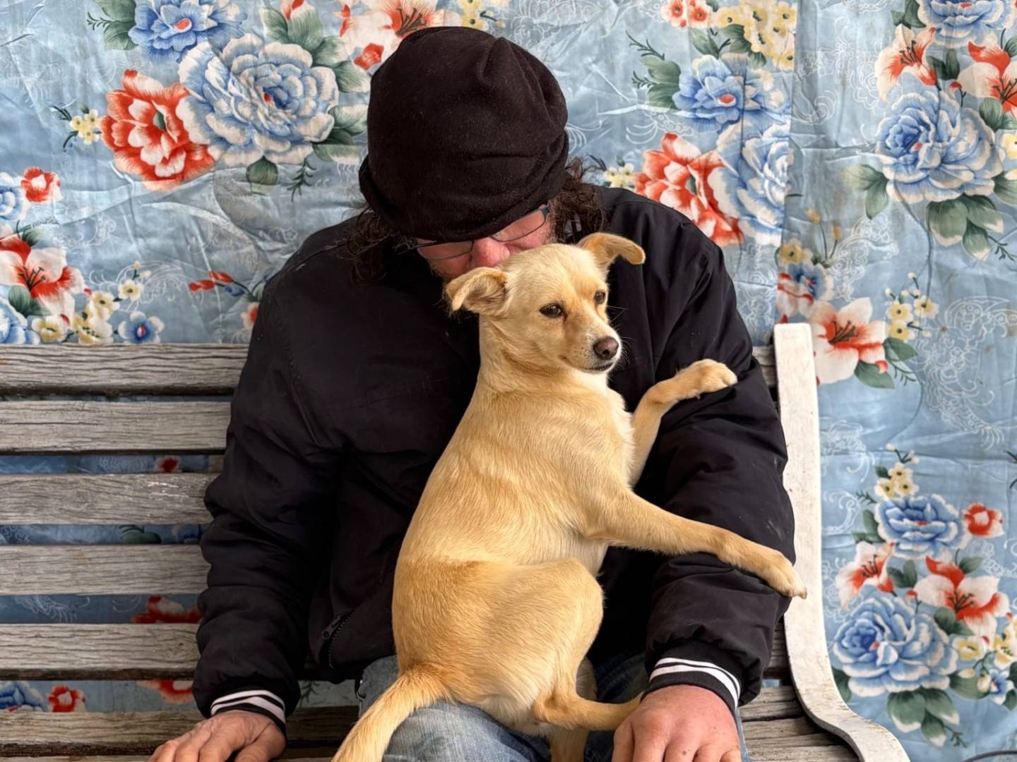 Adotta un cane, taglia piccola, femmina, Taranto