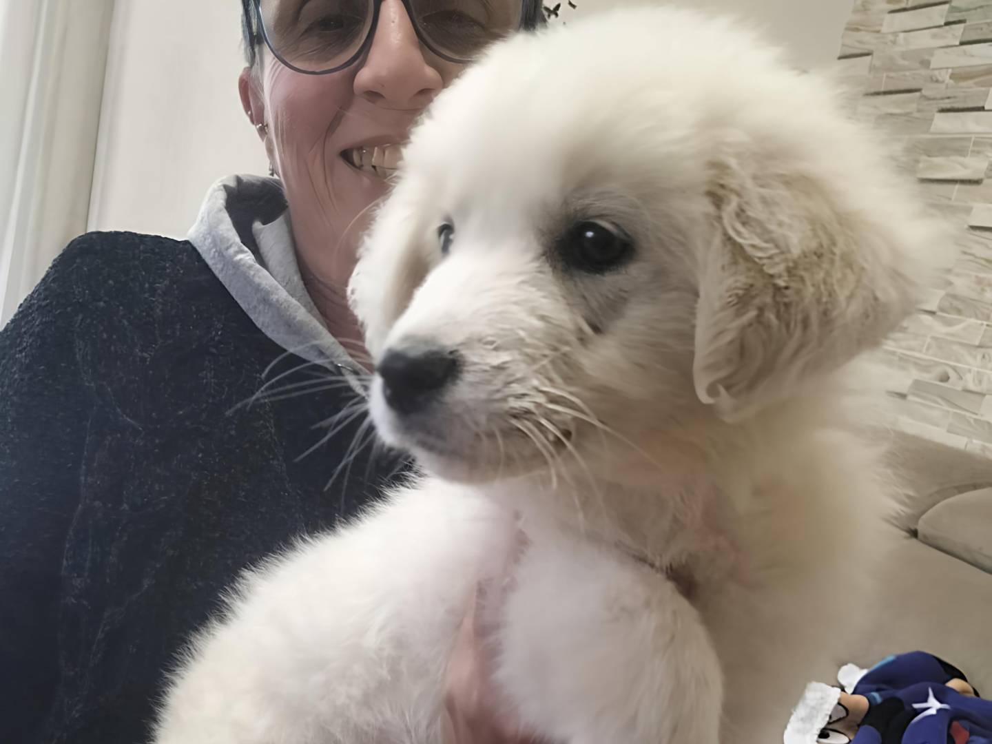 Adotta un cane, maschio, 3 mesi, Trapani