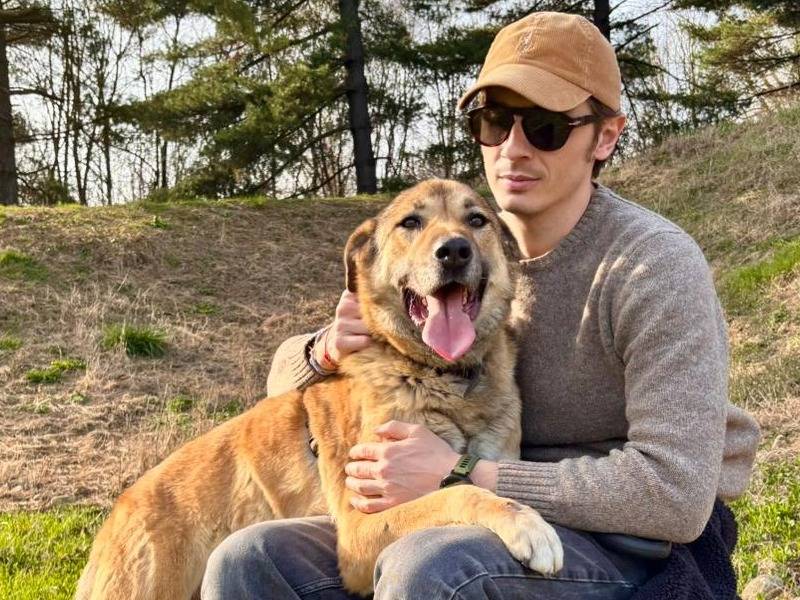 Adotta un cane, taglia media, maschio, Milano