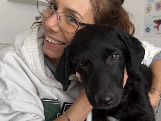 Adotta un cane, taglia media, femmina, Palermo